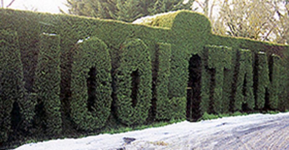 Hotel Mooltan House Hepburn Springs Exterior foto